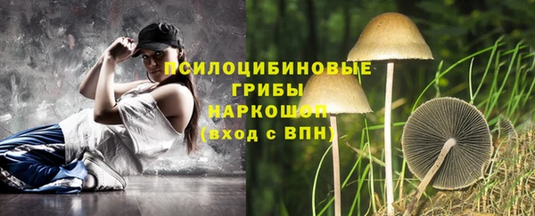 прущая мука Саяногорск