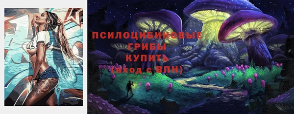 мяу мяу мука Белоозёрский
