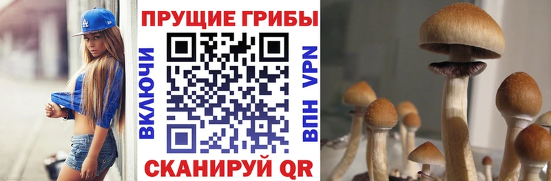 Псилоцибиновые грибы Magic Shrooms  Спас-Деменск 